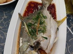 -波记美食店·现捞海鲜