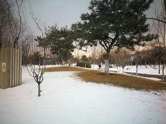 -东升文体公园