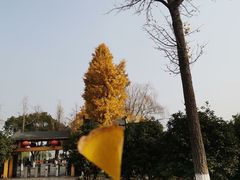 -苏州太湖湖滨国家湿地公园