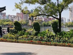 -文瀛公园