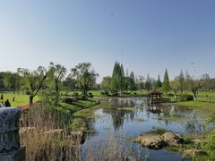 -宜兴龙背山森林公园