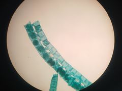 -哈尔滨工业大学(威海校区)