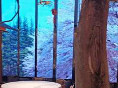 -桂满陇·海市蜃楼·黑金(国金店)