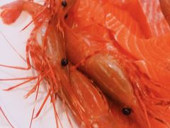 -北上海大酒店-北鸥西餐厅