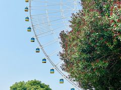 -南昌之星摩天轮