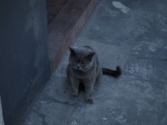 -三溪村