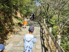 -大岭沟猕猴桃谷风景区