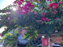 -三亚西岛海洋文化旅游区