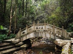 -江西阳明山国家森林公园