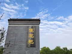 -莲花池公园