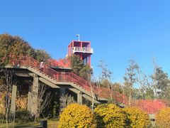 -外蒲山
