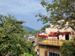 -篁岭景区