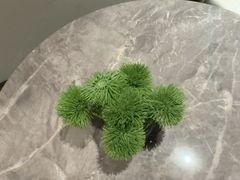 -漫·汤泉