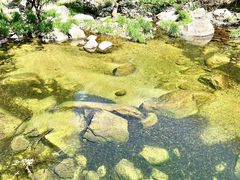 -洛阳白云山景区