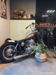 -極致刺青TATTOO STUDIO 私人订制