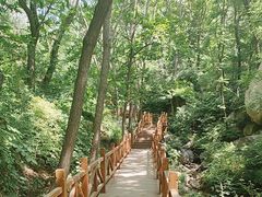 -大岭沟猕猴桃谷风景区