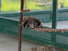 -秦皇岛野生动物园