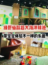 -绿野星空儿童乐园
