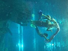 罗源湾海洋世界-福州罗源湾海洋世界旅游区