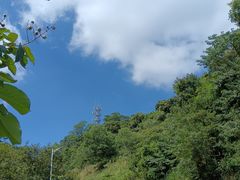 -火炉山森林公园