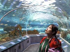 -瑞普利水族馆