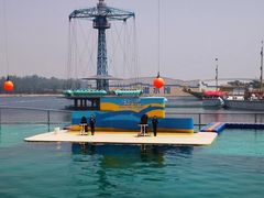 -秦皇岛乐岛海洋王国