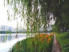-南宁南湖公园