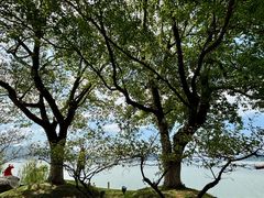 -东钱湖旅游度假区