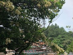 -綦江古剑山