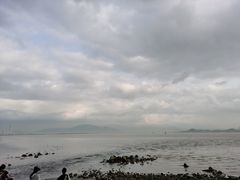 -深圳湾公园(南山区)