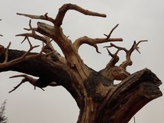 景点-华夏文旅海洋公园