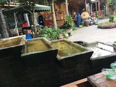 -青城甲(青城山店)