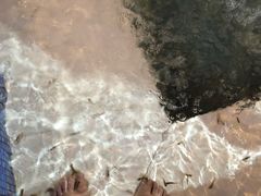 -水晶之星洗浴温泉汗蒸