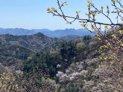 -蟠龙山长城景区
