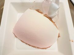 -BLACKSWAN黑天鹅(环球店)