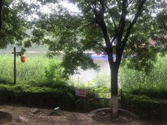 -西安汉城湖景区