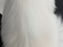 -comecome来吧宠物(奥克斯中心店)