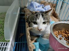 -爱侣宠医·鹦鹉专科·小型哺乳类·异宠专科(灵石路店)