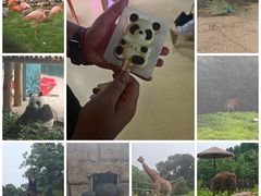 -沈阳森林动物园