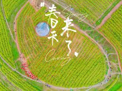 -光明小镇欢乐田园