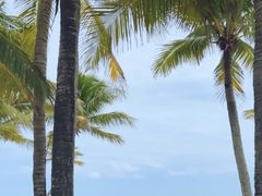 -海南清水湾莱佛士酒店