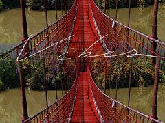 -上海吴淞炮台湾国家湿地公园