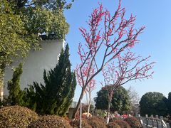 -武汉紫薇都市田园