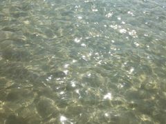 -西涌国际滨海旅游区