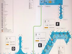 -谢列梅捷沃国际机场