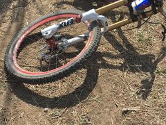 -美利达自行车(天通西苑一区店)