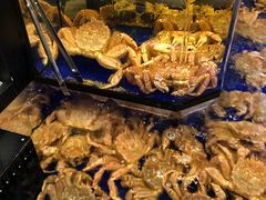 -蟹道乐(道顿堀本店)