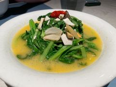 上汤鸡毛菜-荣小馆(临海世纪花城店)