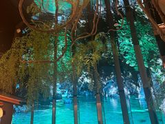 -桂满陇·海市蜃楼·黑金(国金店)