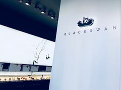 -BLACKSWAN黑天鹅(环球店)